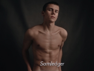 Samledger