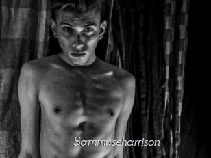 Sammuseharrison