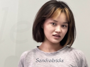 Sandrabricks