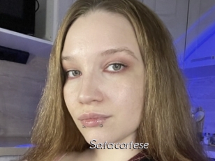 Satacortese