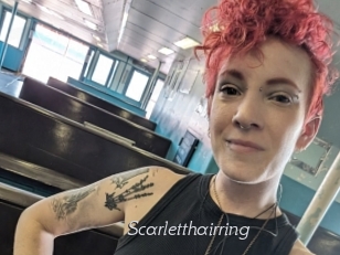 Scarletthairring