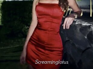 Screaminglotus