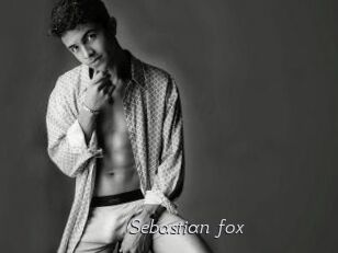 Sebastian_fox