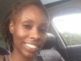 Seccimimi