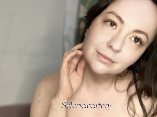 Selenacartery