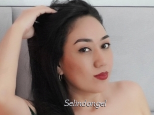 Selindongel