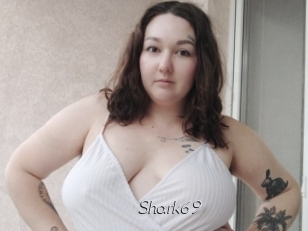Shark69