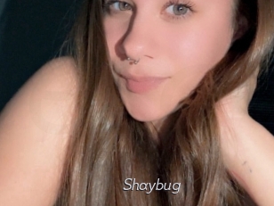 shaybug Le Scandale