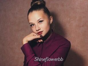 Shineflowerbb