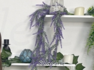 Sibleyberner