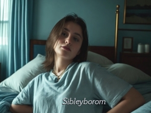 Sibleyborom