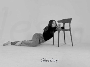 Silvakey