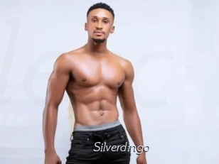 Silverdingo
