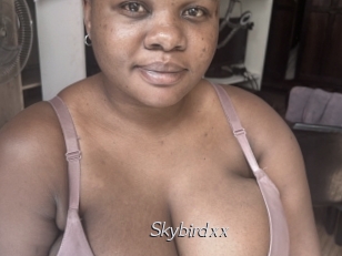 Skybirdxx