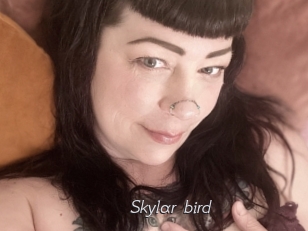 Skylar_bird