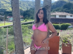 Sofikatt18