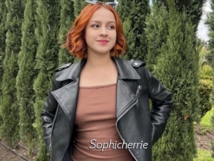 Sophicherrie