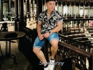 stevebunny Le Scandale