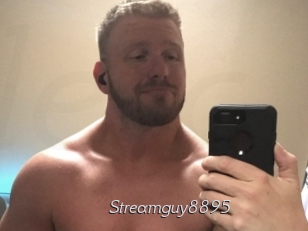 Streamguy8895