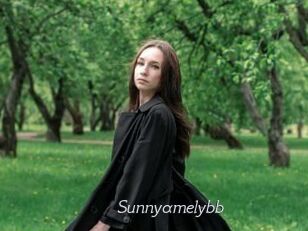 Sunnyamelybb