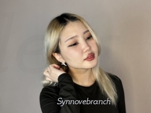 Synnovebranch