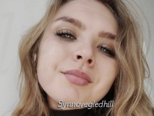 Synnovegledhill