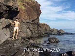 TWINKELIKINGUD
