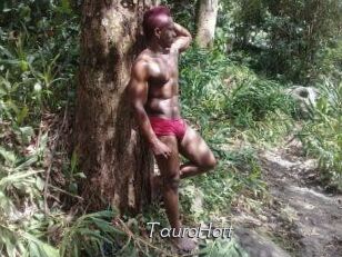 Tauro_Hott