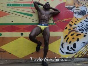 TaylorMusclehard