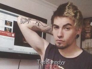 TedBunndyy