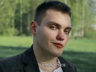 TeddyRios