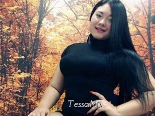 TessaMix