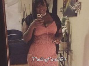 TheBigFine304