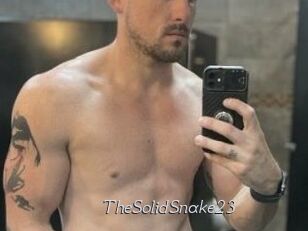 TheSolidSnake23