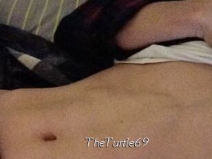 TheTurtle69