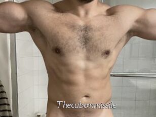 Thecubanmissile