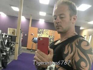 Tigerstripes6767