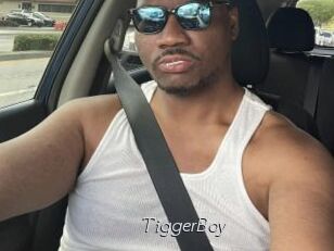 TiggerBoy