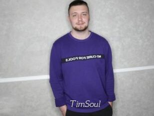 TimSoul