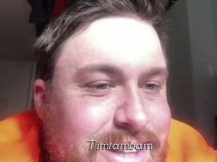 Timtambam