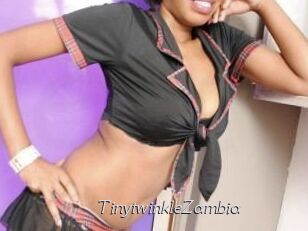 TinytwinkleZambia