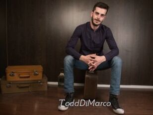 ToddDiMarco