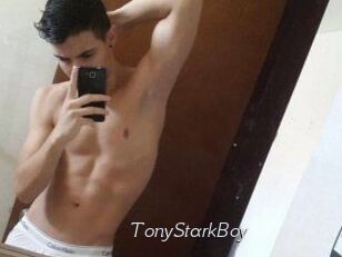 TonyStarkBoy