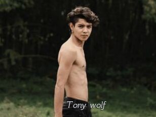 Tony_wolf