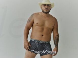 ToretoMontes