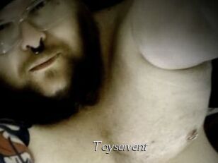 Toyservent