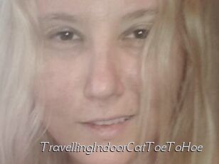 TravellingIndoorCatToeToHoe