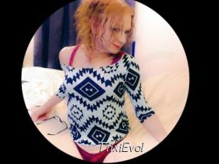TrixiEvol