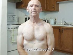 Tumbleweed13