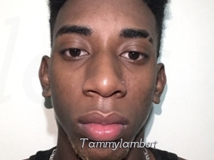 Tammylambert